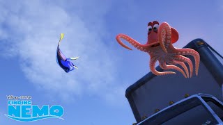 Dory Directs Hanks Driving 🐠 | Finding Dory | Disney Channel UK