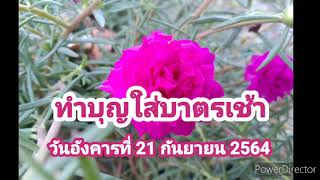 ทำบุญใส่บาตรเช้าวันอังคารที่ 21 กันยายน 2564