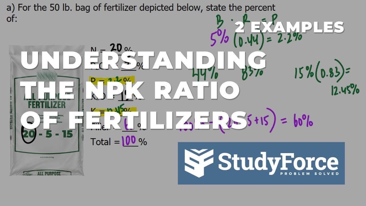 Understanding The NPK Ratio Of Fertilizers (With Examples) - YouTube