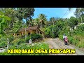 Desa pringapus Dongko Trenggalek Jawa timur