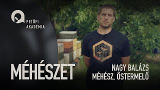 PETŐFI AKADÉMIA: Méhészet / Nagy Balázs ep.21.