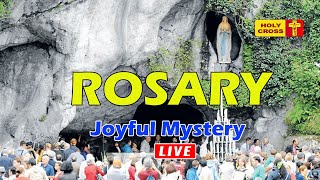 The Joyful Mysteries | 08 February 2025 | Holy Rosary from France Lourdes  Grotto | Holy Cross Tv