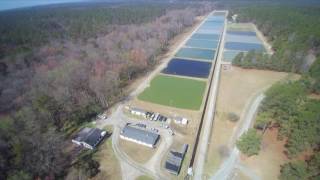 McKinney Lake Fish Hatchery