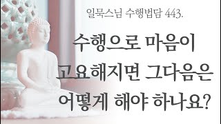 수행으로 마음이 고요해지면 그다음은 어떻게 해야 하나요ㅣ일묵스님ㅣ제따와나선원 수행법담 443.