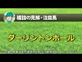 【皐月賞2020予想】コントレイルやサリオスを破る“穴馬”はこの馬だ🐴