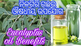 ନିଳଗିରି ଗଛର ଔଷଧୀୟ ଗୁଣ।  Eucalyptus oil benefits in odia language.