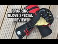 Sparring Glove Special (5 Finger) Review - HEMA heavy gloves