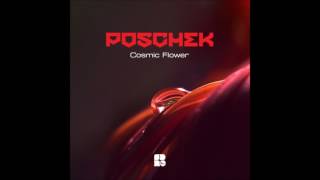 Poschek - Cosmic Flower