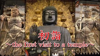 【2016年初詣】東大寺と興福寺～the first visit to a temple～160101