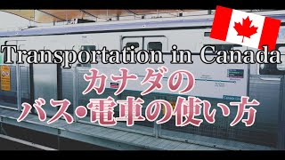 【カナダ留学】乗り過ごさないために!カナダで交通手段を使う人はこれさえ見ればOK Vlog