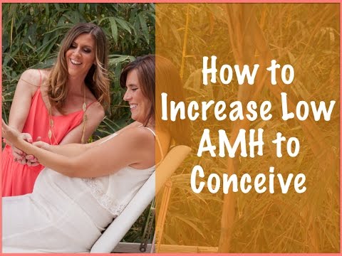 Low AMH - How to Increase AMH Levels when Trying to Conceive Low AMH - How to Increase AMH Levels when Trying to Conceive