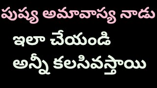 పుష్య అమావాస్య / మౌని అమావాస్య  రోజున చేయాల్సిన పనులు / pushya amavasya