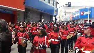 Fanmosa 2018 desfile na rua São Pedro video 1(2)