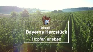 Urlaub in Bayerns Herzstück - Hopfen erleben!