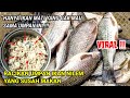 umpan ikan nilem yang susah makan || racikan umpan nilem sungai versi @rendymancing