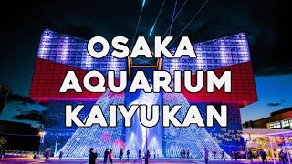 Osaka Aquarium Kaiyukan |  Japan Travel Guide, Tokyo Travel Tips - Important Tourist Information