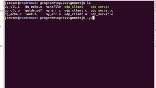 UDP echo client and server demo