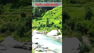 Palampur Himachal pradesh| Best places to visit in Palampur| Hill Station|   #shorts