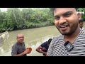 লন্ডন থেকে ইলিশ মাছ খেতে চলে আসলো কুয়াকাটায় hilsha fish cooking in sundarban adventure bd