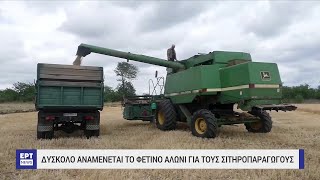 Υπό πίεση οι τιμές στα σιτηρά | 24/04/2023 | ΕΡΤ