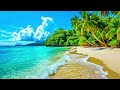 tropical house upbeat sun kissed melodies laid back rhythm mix.music ai