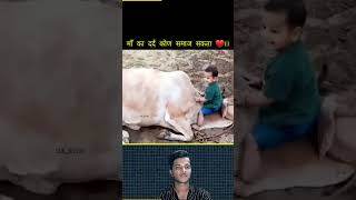 माँ का दर्द कोण समाज सकता है ❤।।#viral #short #BBLFACTS #cow #animals