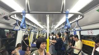 港鐵列車   2024合集