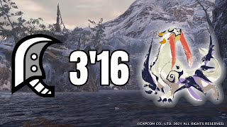 Barioth Great Sword solo 3'16 (Rage slash) | MH Rise