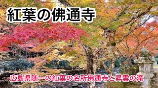 #17 紅葉の佛通寺