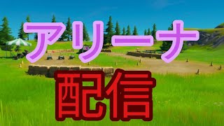 【フォートナイトライブ】【登録者限定お年玉ギフトあげる🎁】初見さん大歓迎！アリーナ配信!!キャリーお願いします！(笑)お年玉ギフト付きカスタムマッチスキンコンテスト＆鬼ごっこ配信！是非参加して下さい！