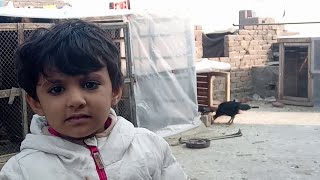 Aj Meri Beti Ne To Had Kar Di Desi Chowk New Vlog 2024