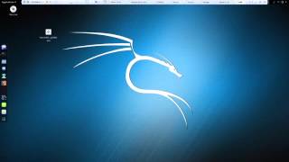 Meterpreter Basic Commands