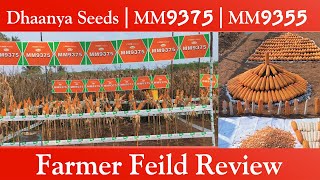 Dhaanya Seeds | MM9375 | MM9355 | Field Review | Maize review  | Maize Cultivation | Gramathan