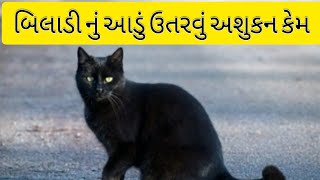 બિલાડી આડી ઉતરી તો અપશુકન કેમ? || biladi aadi utari to apshukan kem?|| Mr Dharmik saheb||