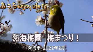 【熱海市】熱海梅園　梅まつり（2022年/冬）