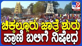 5 ದಿನಗಳ ಚಿಕ್ಕಲ್ಲೂರು ಸಿದ್ದಾಪ್ಪಾಜಿ ಜಾತ್ರಾ ಮಹೋತ್ಸವ, ಪ್ರಾಣಿ ಬಲಿ, ಟ್ಯಾಟು, ಹಚ್ಚೆಗೆ ನಿಷೇಧ | #TV9D