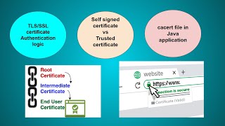TLS SSL certificate basic concepts | HTTPS | Reference for developers