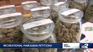 Smart and Safe pushes for recreational marijuana to be legalized in Florida with new petitions