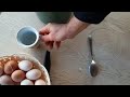 fresh yeast for chickens how to stimulate eggs in the cold season