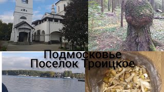 Поселок Троицкое . г. Москва.