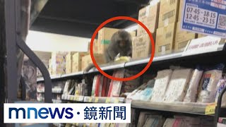 猴子也在逛超市　爬上貨架拎一袋香蕉｜#鏡新聞