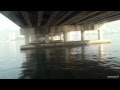 Memancing Di Bawah Jambatan Pulau Pinang Memancing Di Bawah Jambatan Pulau Pinang
