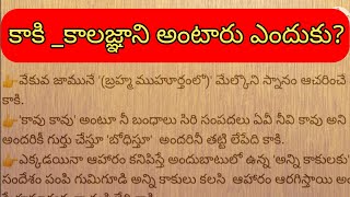 కాకి _కాలజ్ఞాని అంటారు ఎందుకు? | interesting facts in telugu | Dharma sandehalu