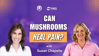 Scars vs. Adhesions: The Shocking Truth Most Therapists Don’t Know! 🔍 | Susan Chapelle