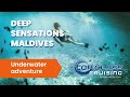 Maldives Diving Cruise: Unforgettable Liveaboard Adventures with Top Class Cruising