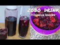 HEALTHY ZOBO HIBISCUS DRINK RECIPE | SOBOLO |SORREL