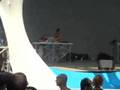 ticon SONICA 2006