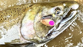 Coho Salmon Fishing With Spinners / Steelhead Slammers Reel Michigan Anglers Edition Spinner