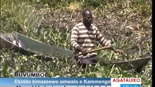 Ekiddo kimazeewo omwalo e Kammengo