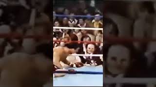 HARDEST PUNCHER EVER!! Earnie Shavers (1944-2022)